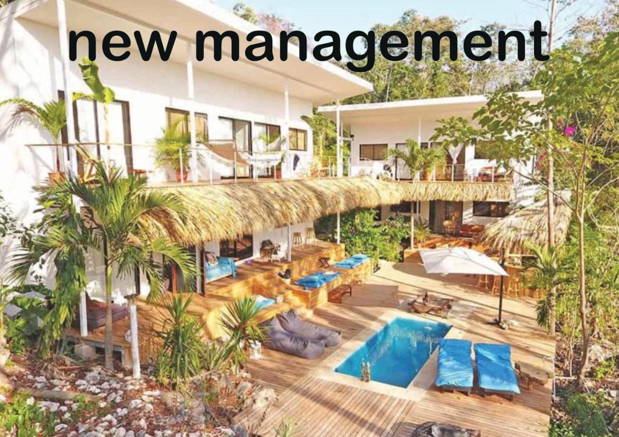 Playa Santa Teresa  La Sana Surf Hotel - New Management المظهر الخارجي الصورة