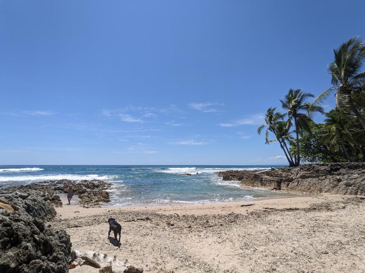 Playa Santa Teresa  La Sana Surf Hotel - New Management المظهر الخارجي الصورة